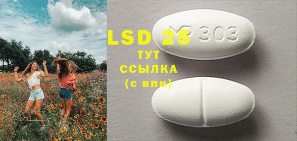 ПСИЛОЦИБИНОВЫЕ ГРИБЫ Баксан