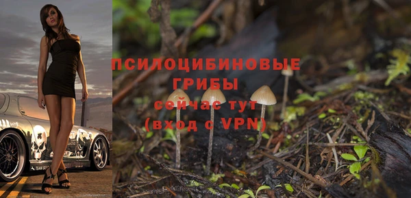 индика Армянск