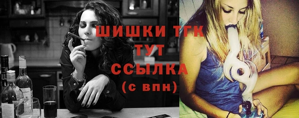 индика Армянск