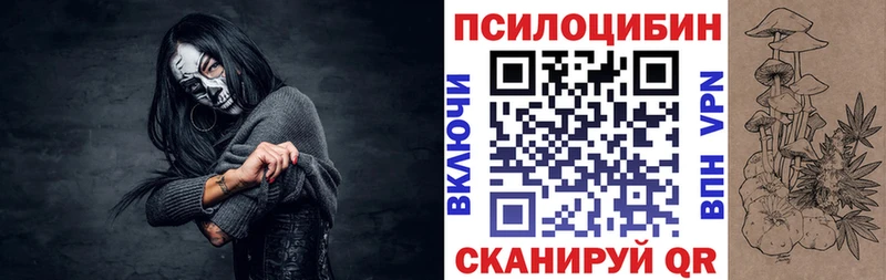 дарнет шоп Гурьевск мега рабочий сайт Галлюциногенные грибы мицелий